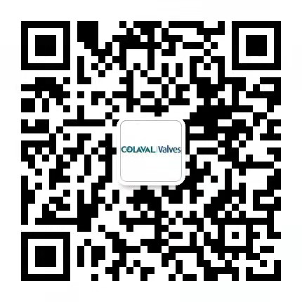 过滤器（清除管道系统中杂质的过滤装置）-上海可拉伐
