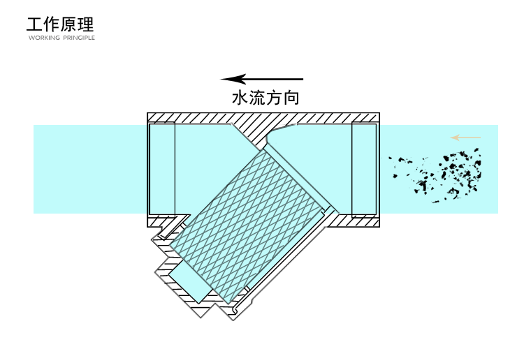 Y型过滤器